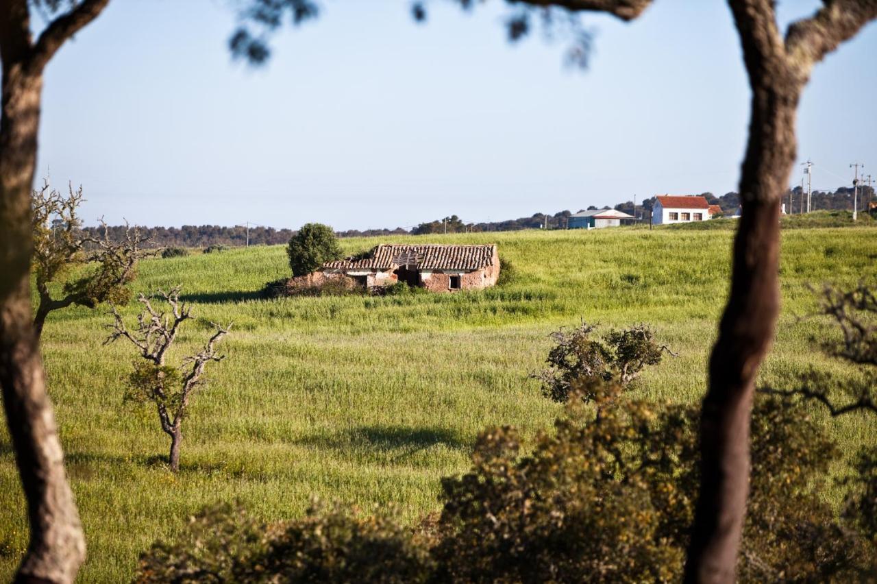 Eco Glamping Portugal Nature Lodge São Luis Eksteriør billede