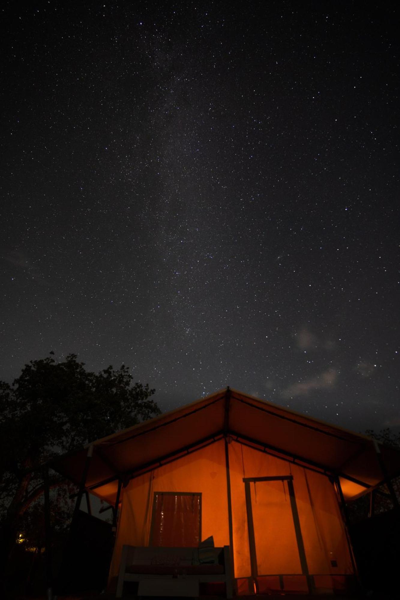 Eco Glamping Portugal Nature Lodge São Luis Eksteriør billede