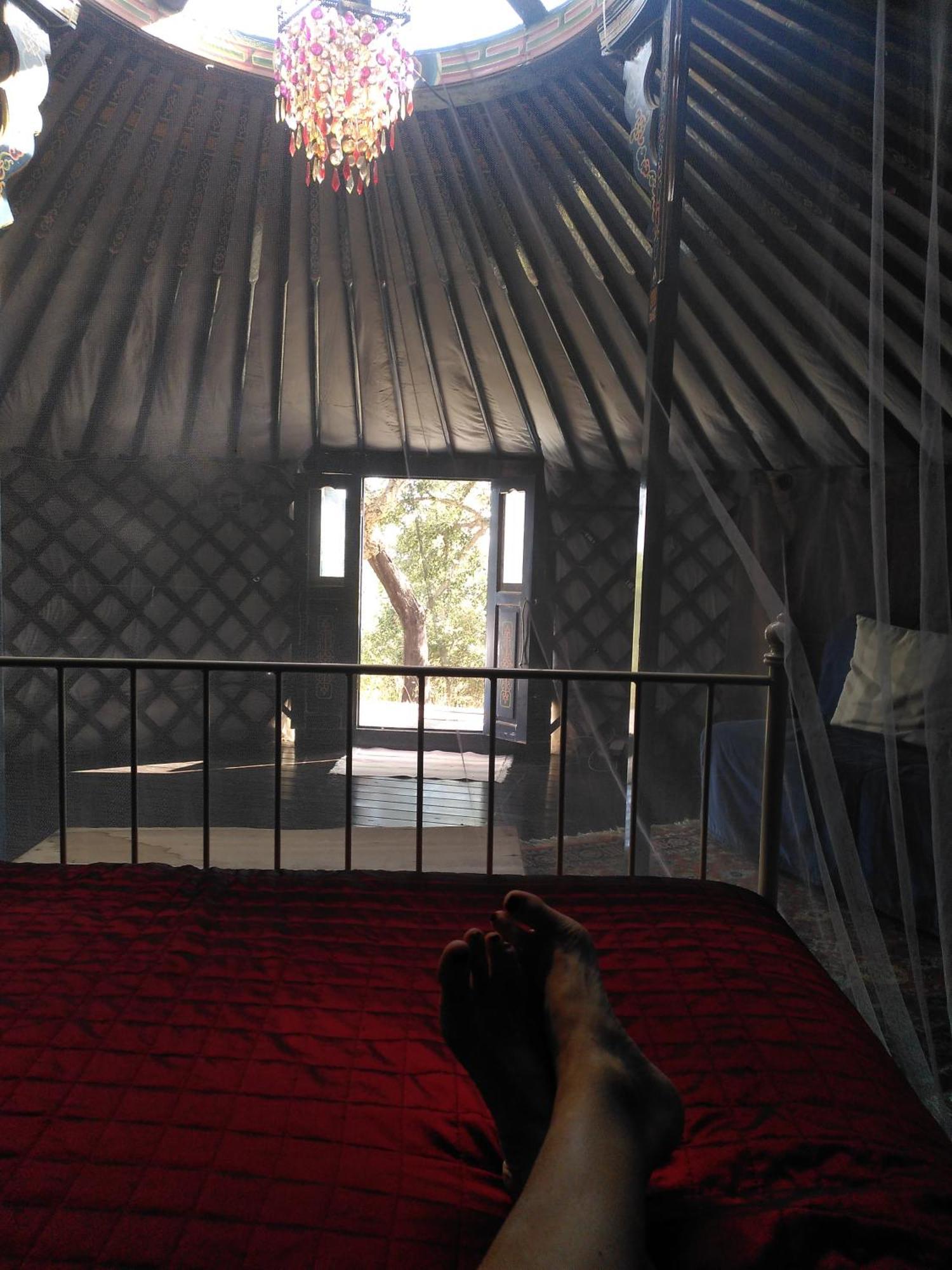 Eco Glamping Portugal Nature Lodge São Luis Eksteriør billede