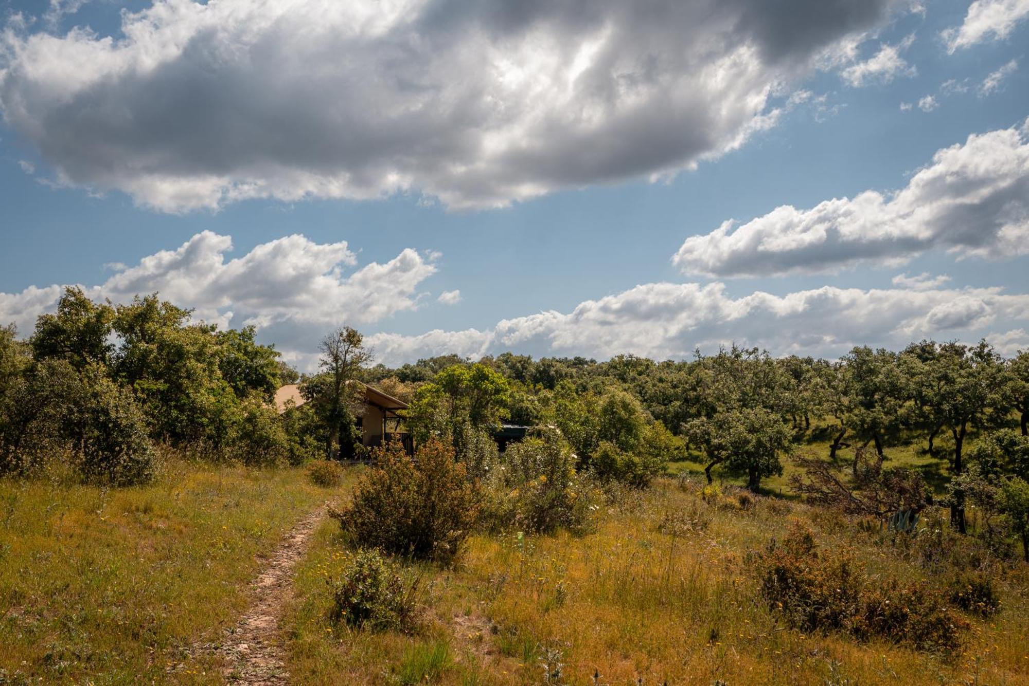 Eco Glamping Portugal Nature Lodge São Luis Eksteriør billede
