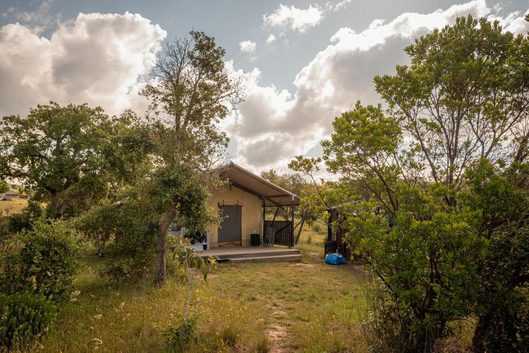 Eco Glamping Portugal Nature Lodge São Luis Eksteriør billede