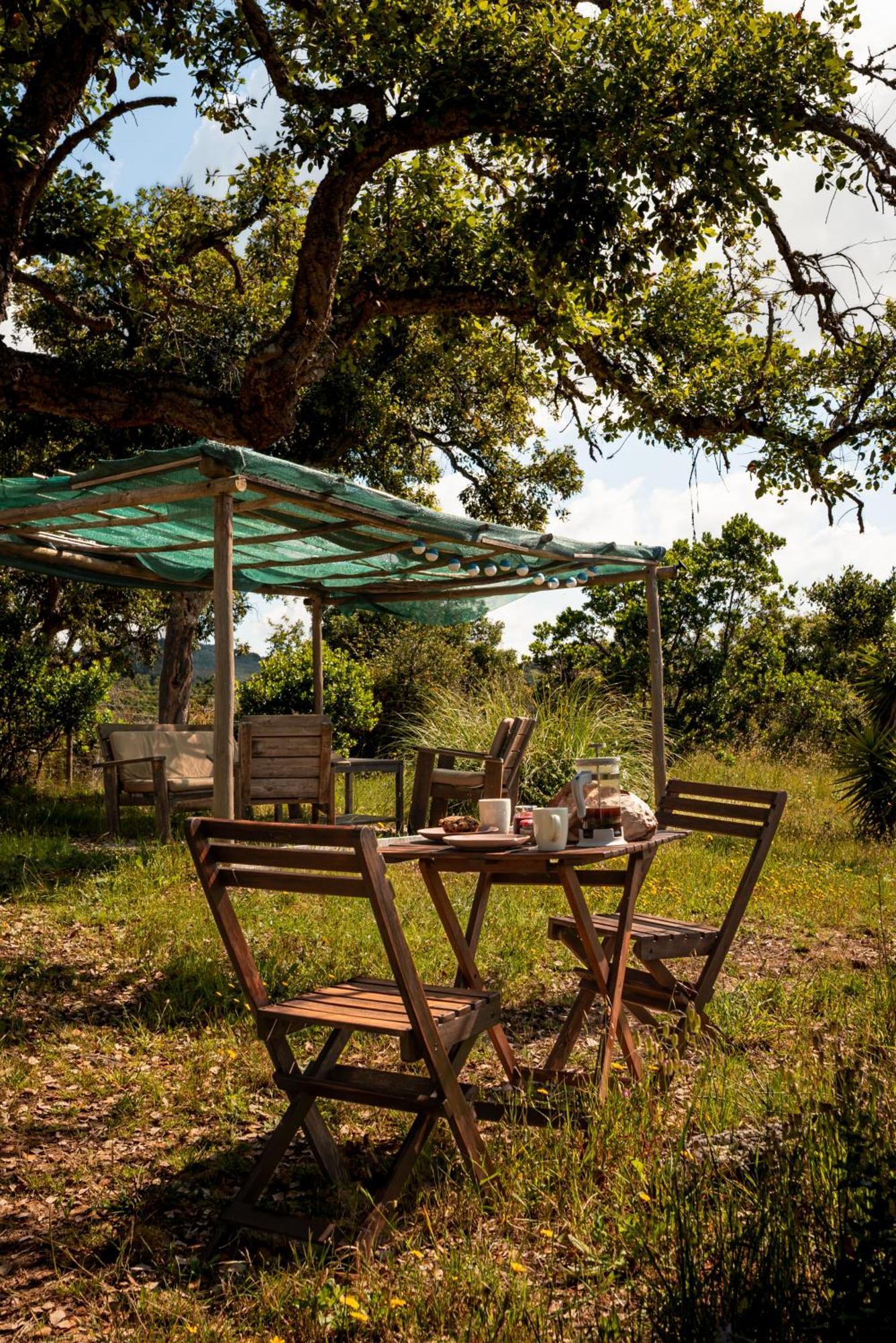 Eco Glamping Portugal Nature Lodge São Luis Eksteriør billede